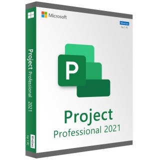 Project Professional 2021