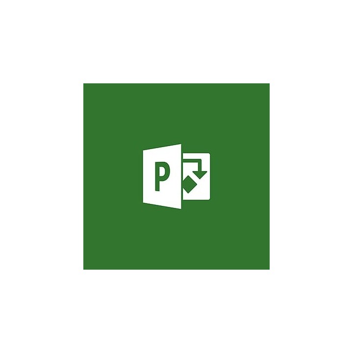 Microsoft Visio Professional 2019